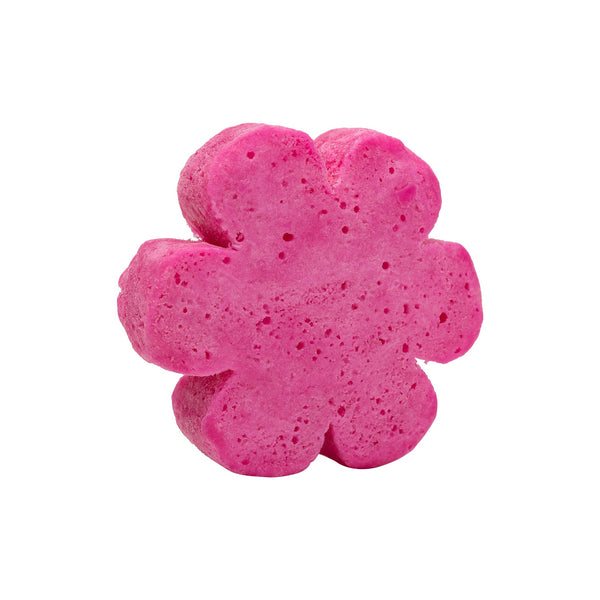 Soap Spongie - Flowery Fresh