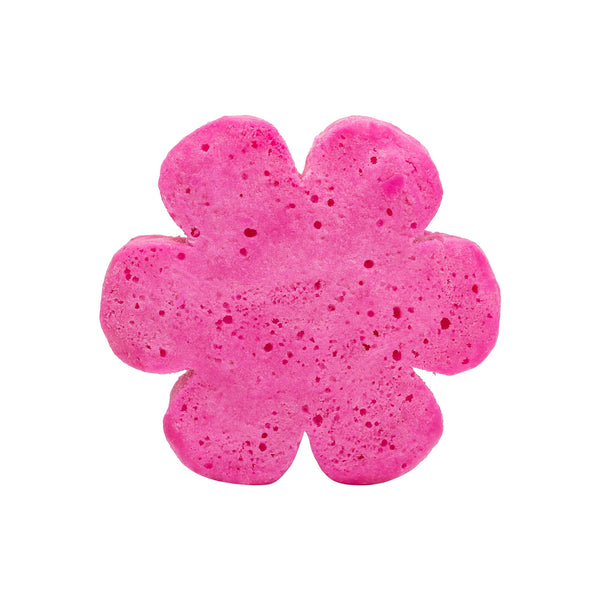 Soap Spongie - Flowery Fresh – Cait + Co
