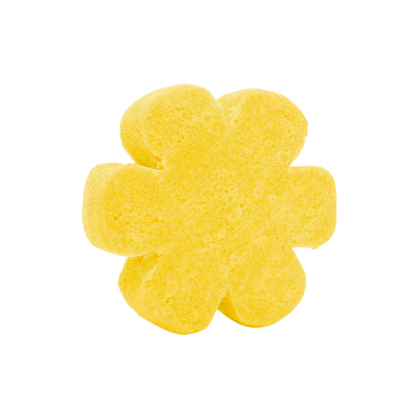 Soap Spongie - Fun and Fruity